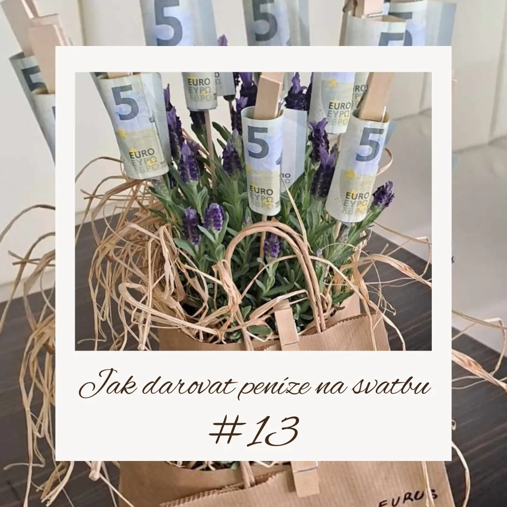 Květináč s odrůdou levandulus-eurus - nápad jak darovat peníze na svatbu